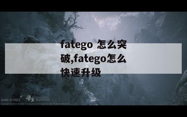 fatego 怎么突破,fatego怎么快速升级