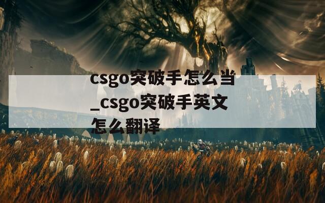 csgo突破手怎么当_csgo突破手英文怎么翻译