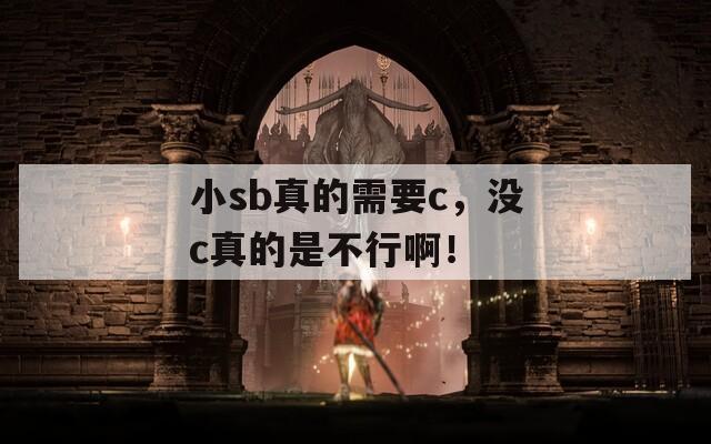 小sb真的需要c，没c真的是不行啊！