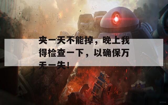 夹一天不能掉，晚上我得检查一下，以确保万无一失！