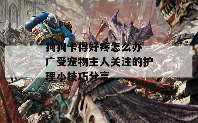 狗狗卡得好疼怎么办 广受宠物主人关注的护理小技巧分享