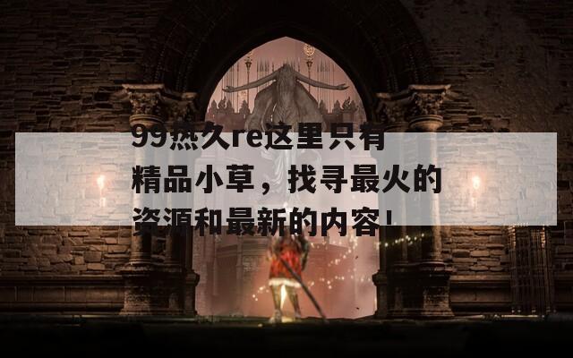99热久re这里只有精品小草，找寻最火的资源和最新的内容！
