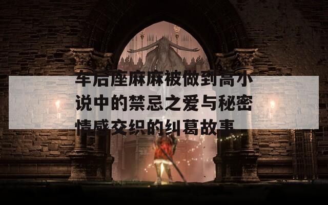 车后座麻麻被做到高小说中的禁忌之爱与秘密情感交织的纠葛故事