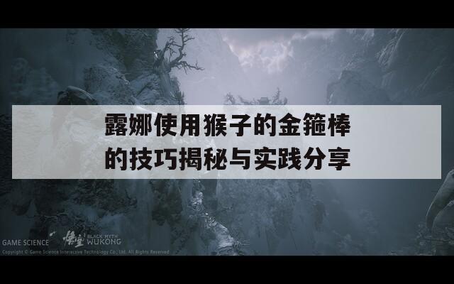 露娜使用猴子的金箍棒的技巧揭秘与实践分享