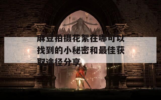 麻豆拍摄花絮在哪可以找到的小秘密和最佳获取途径分享