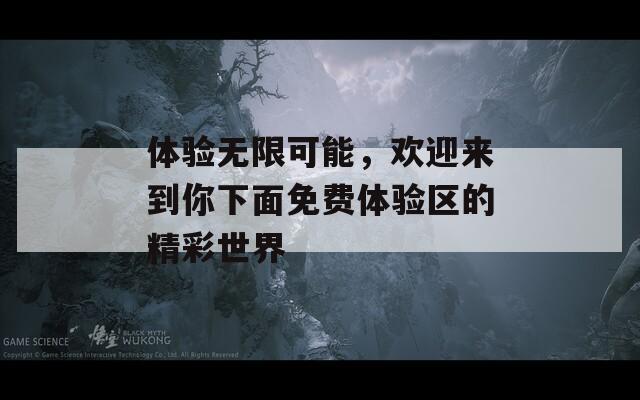 体验无限可能，欢迎来到你下面免费体验区的精彩世界