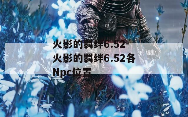 火影的羁绊6.52-火影的羁绊6.52各Npc位置