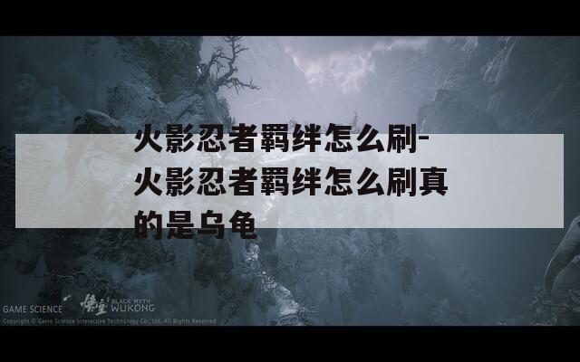 火影忍者羁绊怎么刷-火影忍者羁绊怎么刷真的是乌龟