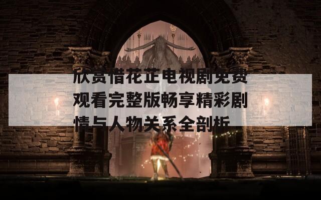 欣赏惜花芷电视剧免费观看完整版畅享精彩剧情与人物关系全剖析