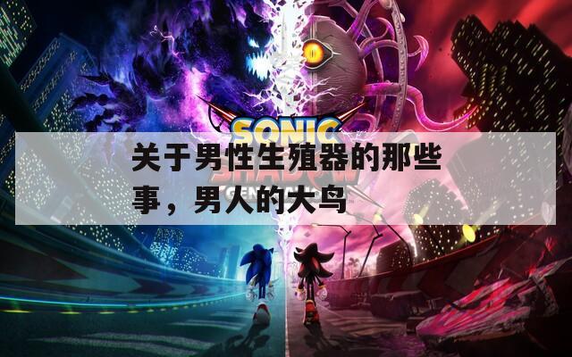 关于男性生殖器的那些事，男人的大鸟