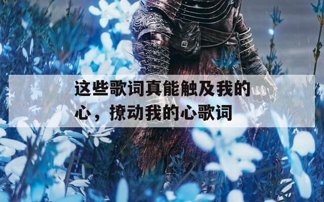 这些歌词真能触及我的心，撩动我的心歌词