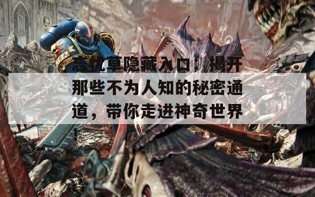 忘忧草隐藏入口：揭开那些不为人知的秘密通道，带你走进神奇世界！