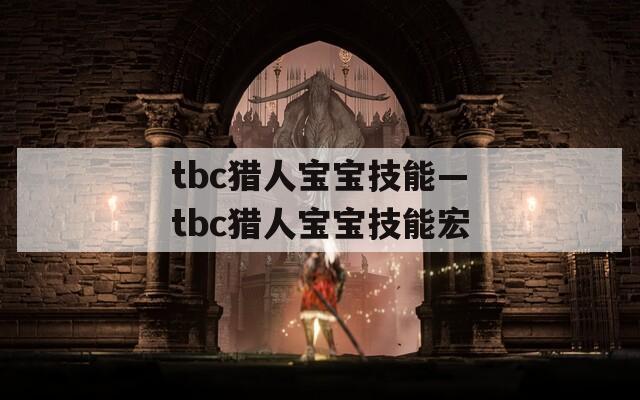 tbc猎人宝宝技能—tbc猎人宝宝技能宏