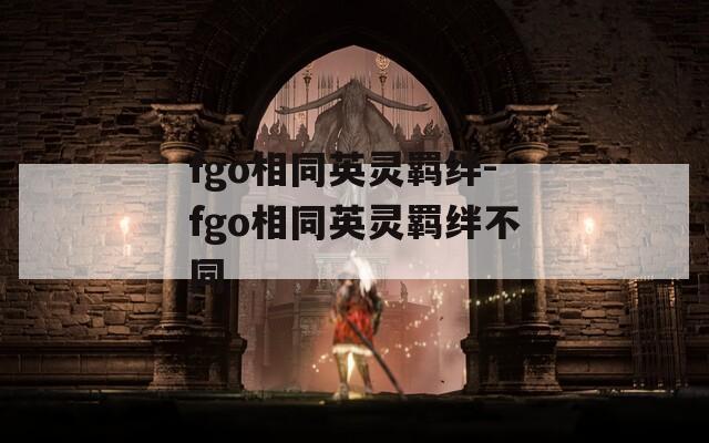 fgo相同英灵羁绊-fgo相同英灵羁绊不同