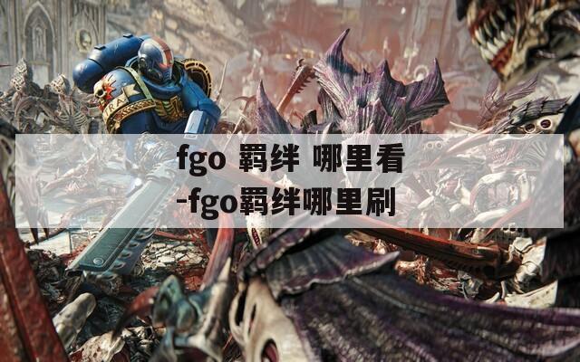 fgo 羁绊 哪里看-fgo羁绊哪里刷