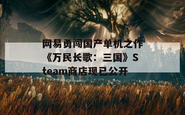 网易勇闯国产单机之作《万民长歌：三国》Steam商店现已公开