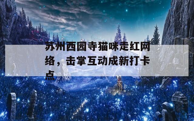 苏州西园寺猫咪走红网络，击掌互动成新打卡点
