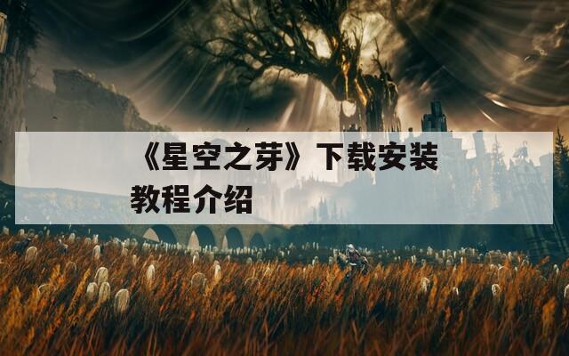 《星空之芽》下载安装教程介绍