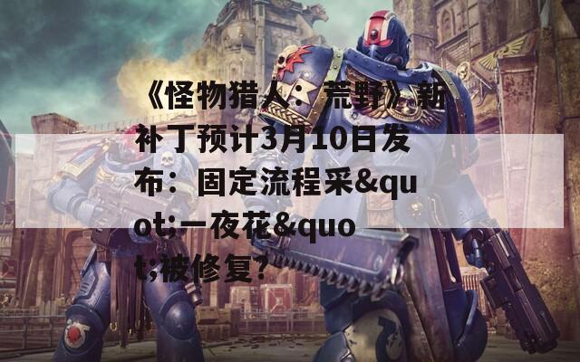 《怪物猎人：荒野》新补丁预计3月10日发布：固定流程采"一夜花"被修复?