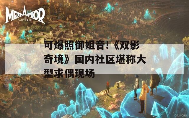 可爆照御姐音!《双影奇境》国内社区堪称大型求偶现场