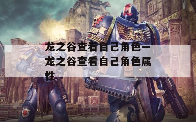 龙之谷查看自己角色—龙之谷查看自己角色属性