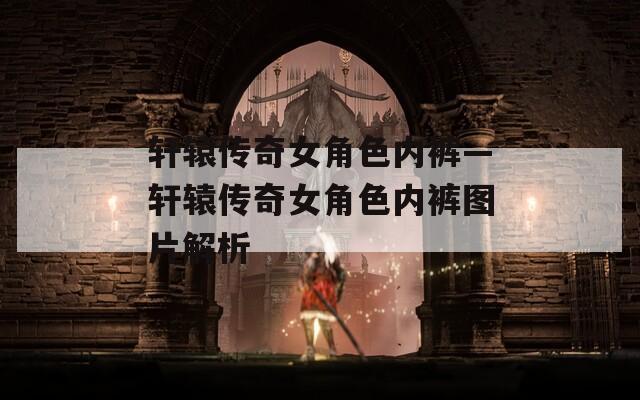 轩辕传奇女角色内裤—轩辕传奇女角色内裤图片解析