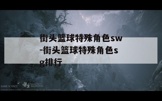 街头篮球特殊角色sw-街头篮球特殊角色sg排行