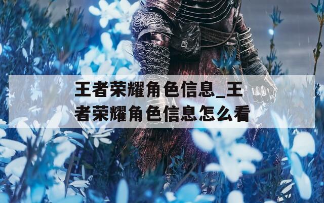 王者荣耀角色信息_王者荣耀角色信息怎么看
