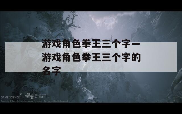 游戏角色拳王三个字—游戏角色拳王三个字的名字