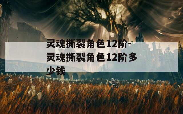 灵魂撕裂角色12阶-灵魂撕裂角色12阶多少钱
