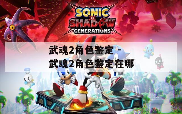 武魂2角色鉴定 - 武魂2角色鉴定在哪