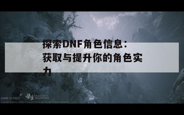探索DNF角色信息：获取与提升你的角色实力