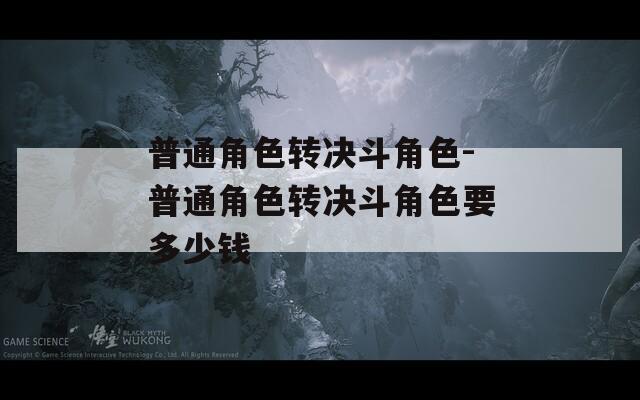 普通角色转决斗角色-普通角色转决斗角色要多少钱