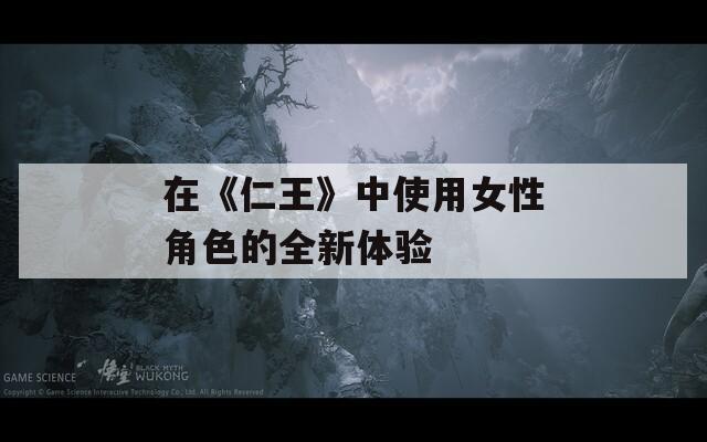 在《仁王》中使用女性角色的全新体验