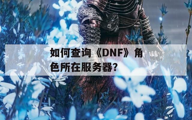 如何查询《DNF》角色所在服务器？
