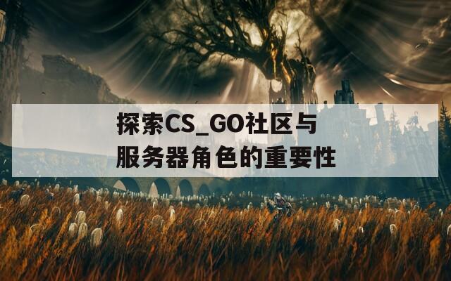 探索CS_GO社区与服务器角色的重要性